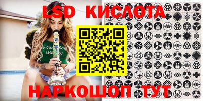 сатива Сланцы