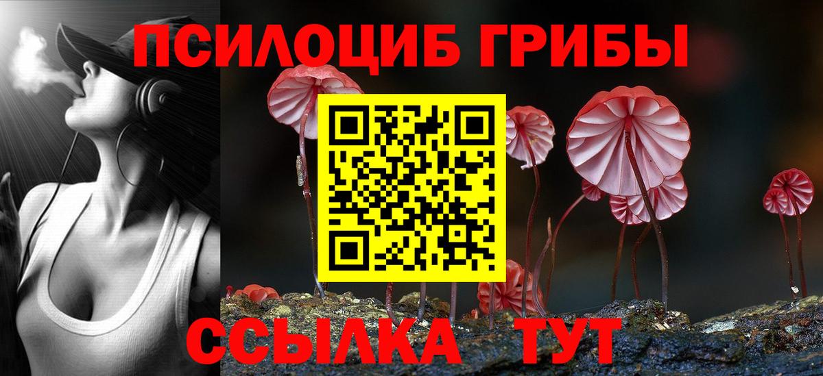 Нижневартовск  Псилоцибиновые грибы прущие грибы  Вход с VPN  Псилоцибиновые грибы прущие грибы 